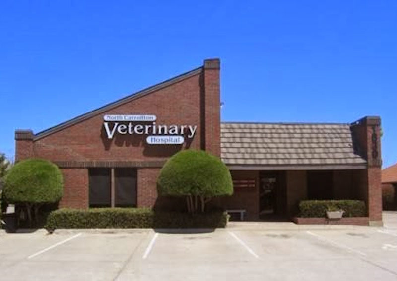 Carousel Slide 3: North Carrollton Veterinary Hospital Practice