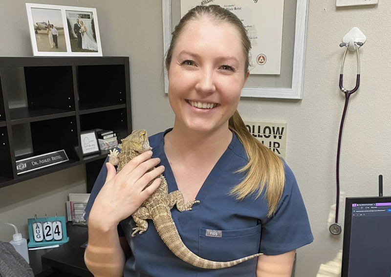 Carousel Slide 4: Exotic Pet Wellness Exams