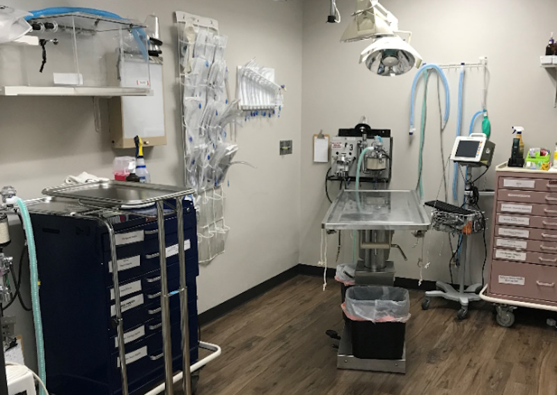 Carousel Slide 5: State-of-the-art Surgical Suites