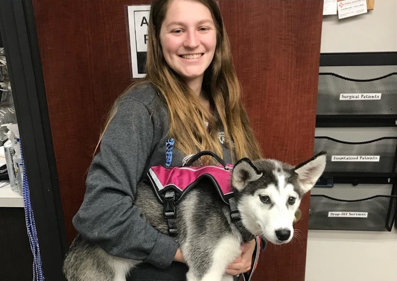 Carousel Slide 6: Preventative Care Plans for your Pet