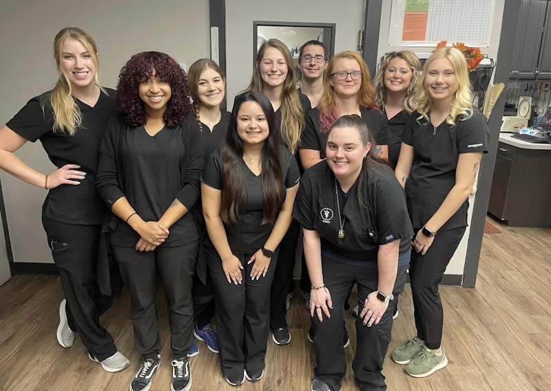 Carousel Slide 7: Meet Our Team