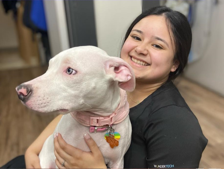 Preventive Care for Dogs