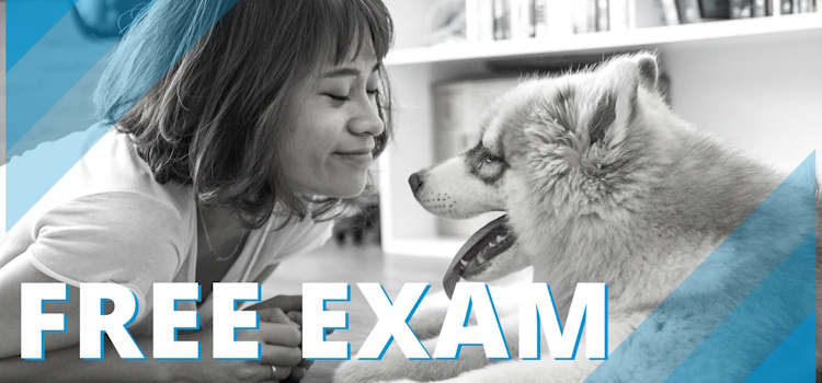 Free exam with adoption
