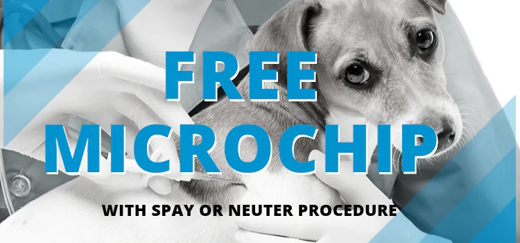 Free microchip